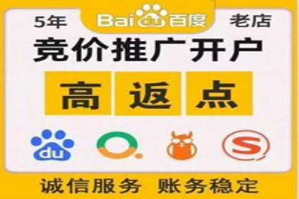 知名SEM公司案例分析：优化策略与成果